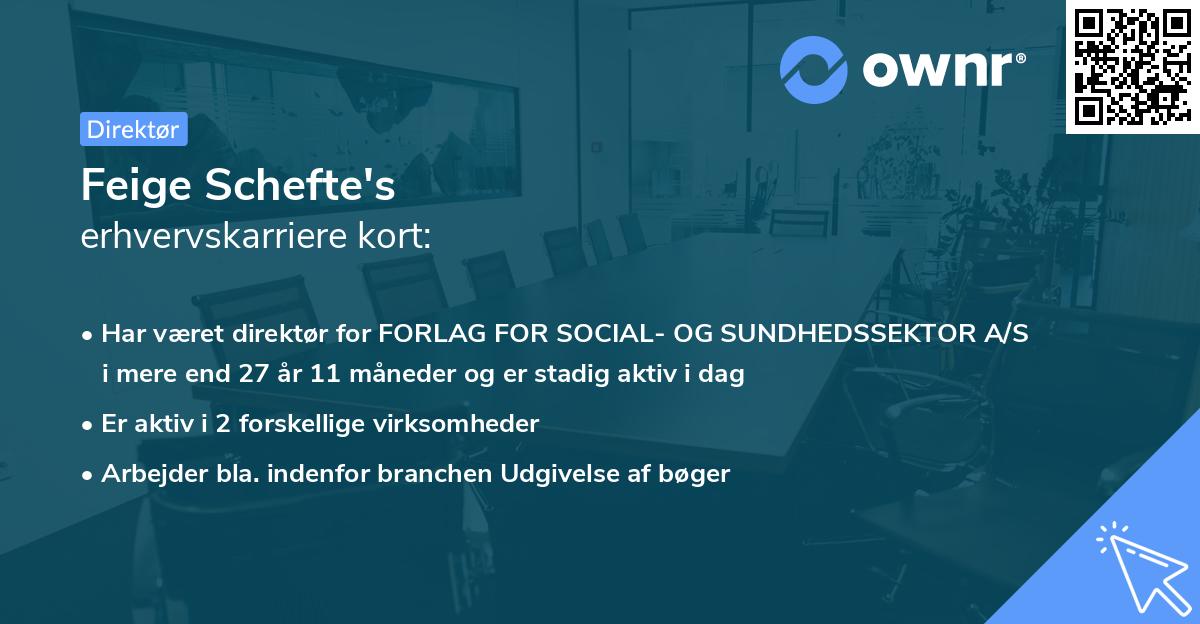Feige Schefte's erhvervskarriere kort