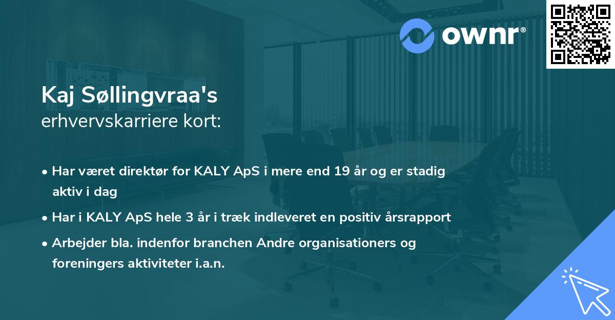 Kaj Søllingvraa's erhvervskarriere kort