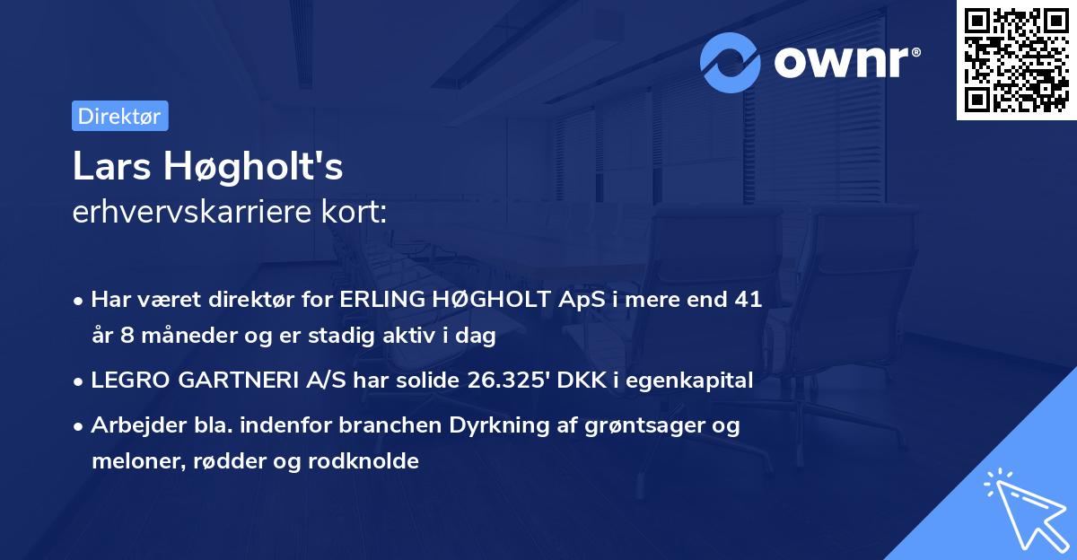 Lars Høgholt's erhvervskarriere kort