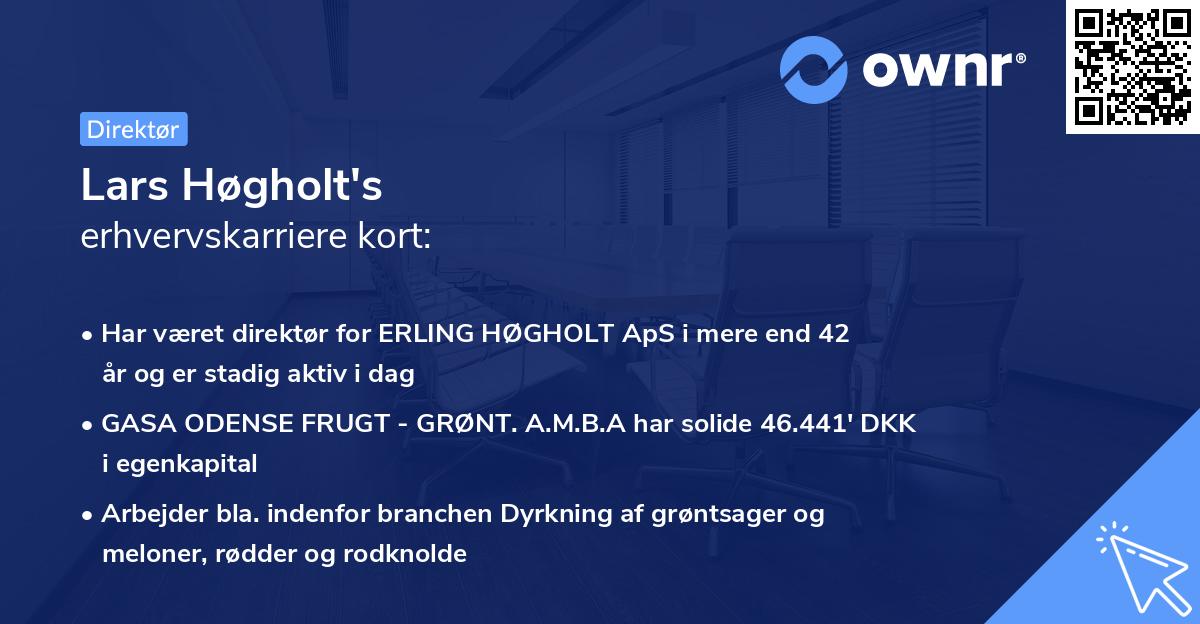 Lars Høgholt's erhvervskarriere kort
