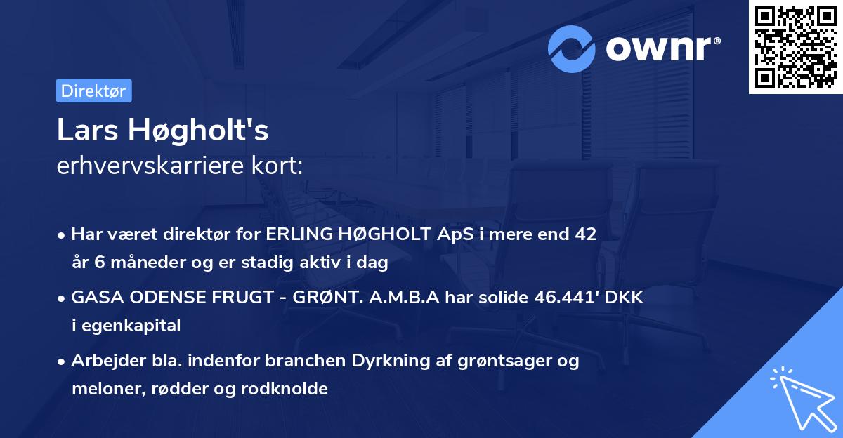 Lars Høgholt's erhvervskarriere kort