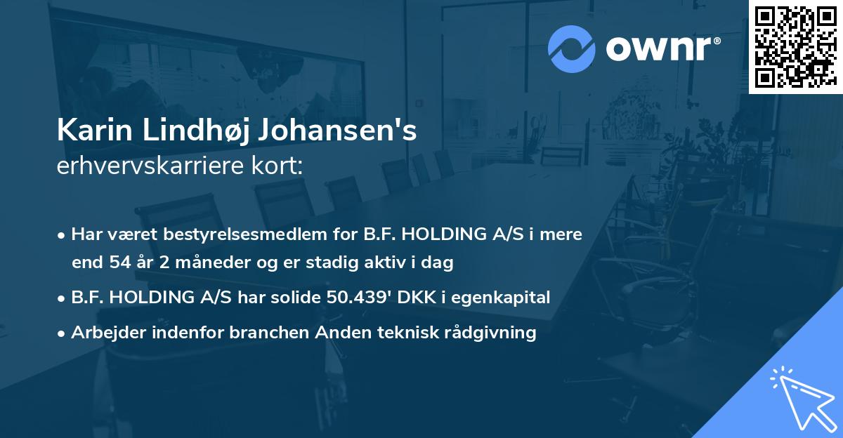 Karin Lindhøj Johansen's erhvervskarriere kort