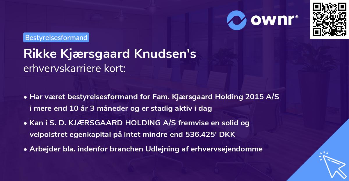 Rikke Kjærsgaard Knudsen's erhvervskarriere kort