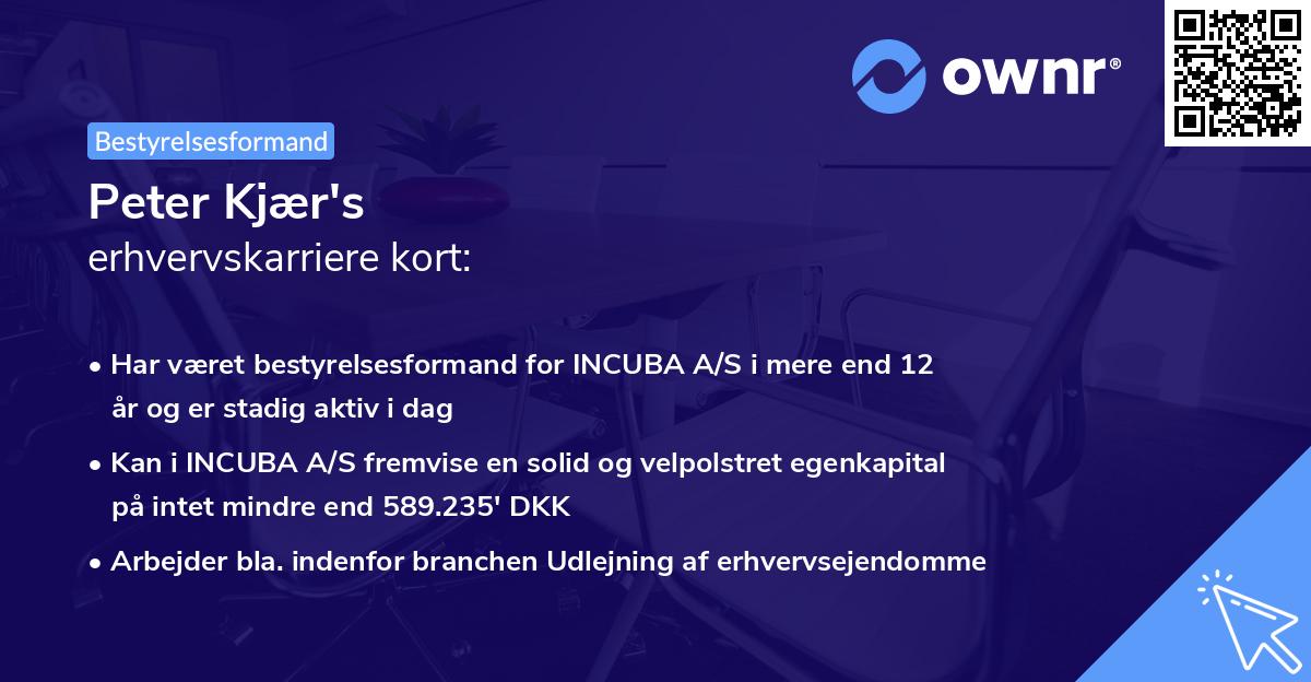 Peter Kjær's erhvervskarriere kort