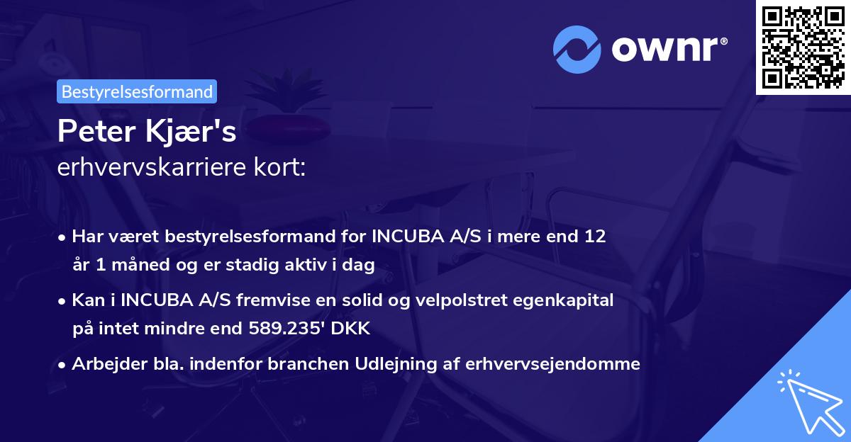 Peter Kjær's erhvervskarriere kort