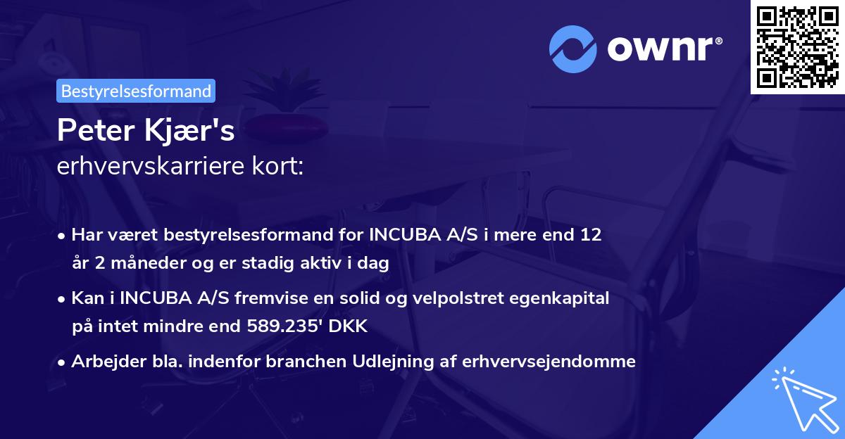 Peter Kjær's erhvervskarriere kort