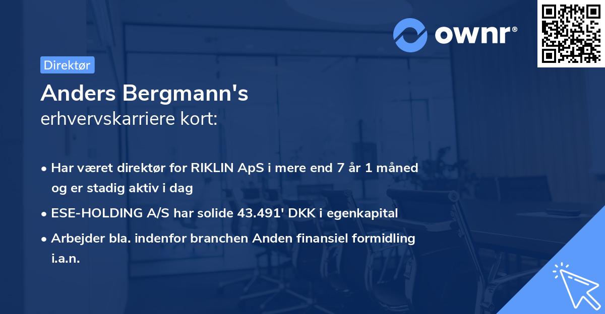 Anders Bergmann's erhvervskarriere kort