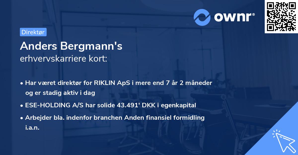 Anders Bergmann's erhvervskarriere kort