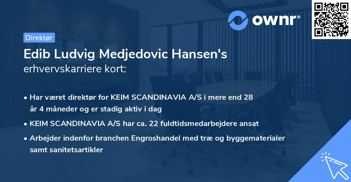 Edib Ludvig Medjedovic Hansen's erhvervskarriere kort