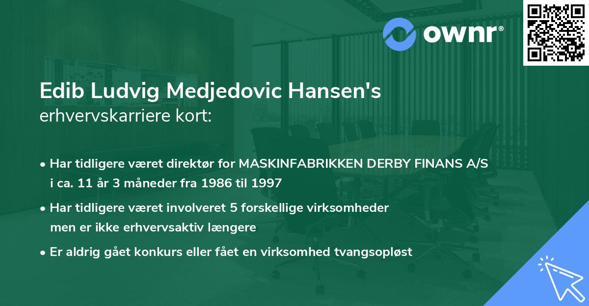 Edib Ludvig Medjedovic Hansen's erhvervskarriere kort