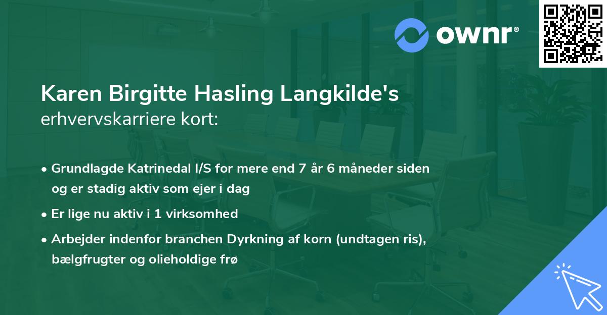 Karen Birgitte Hasling Langkilde's erhvervskarriere kort