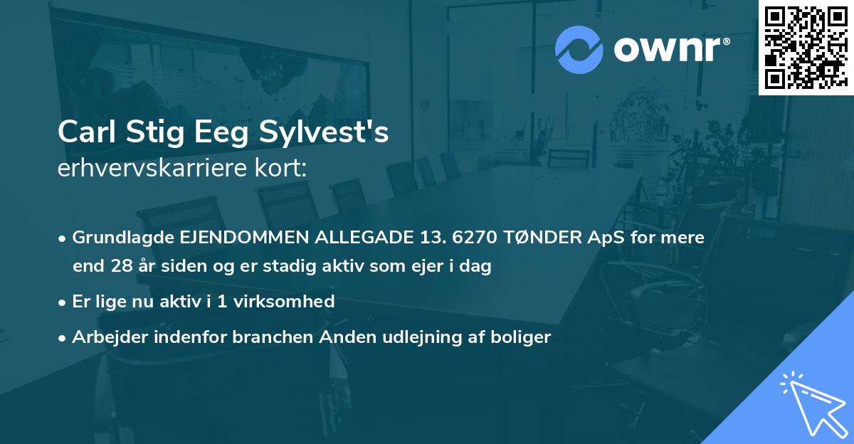 Carl Stig Eeg Sylvest's erhvervskarriere kort