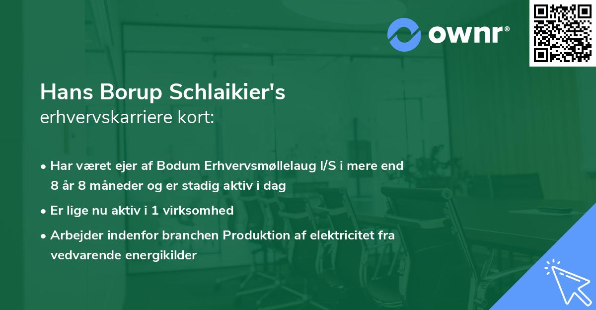 Hans Borup Schlaikier's erhvervskarriere kort