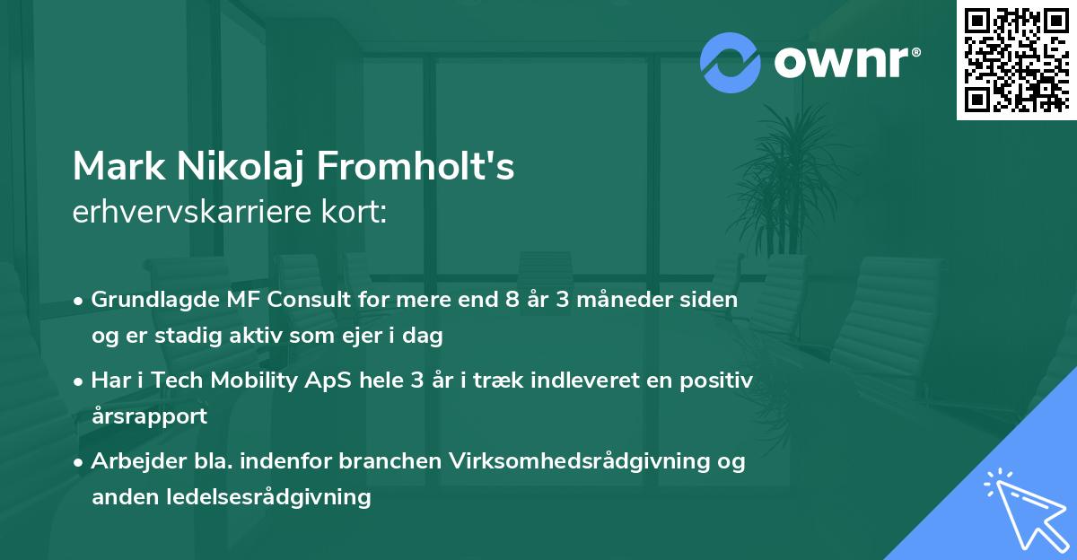 Mark Nikolaj Fromholt's erhvervskarriere kort