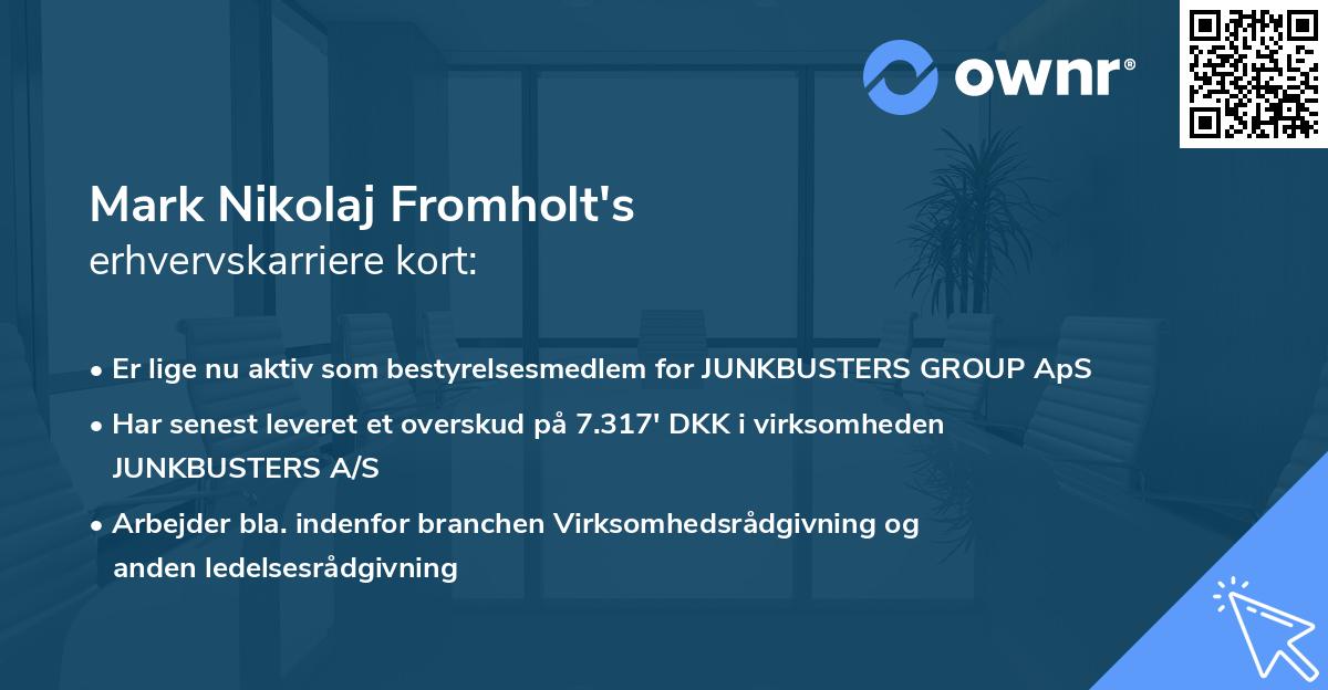 Mark Nikolaj Fromholt's erhvervskarriere kort