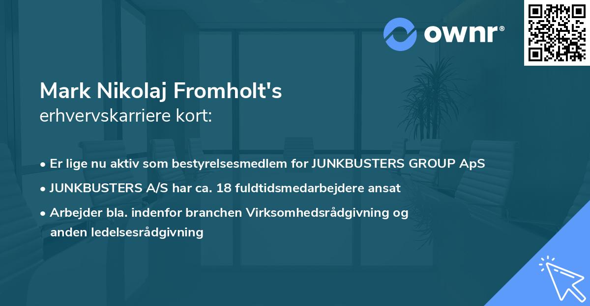 Mark Nikolaj Fromholt's erhvervskarriere kort