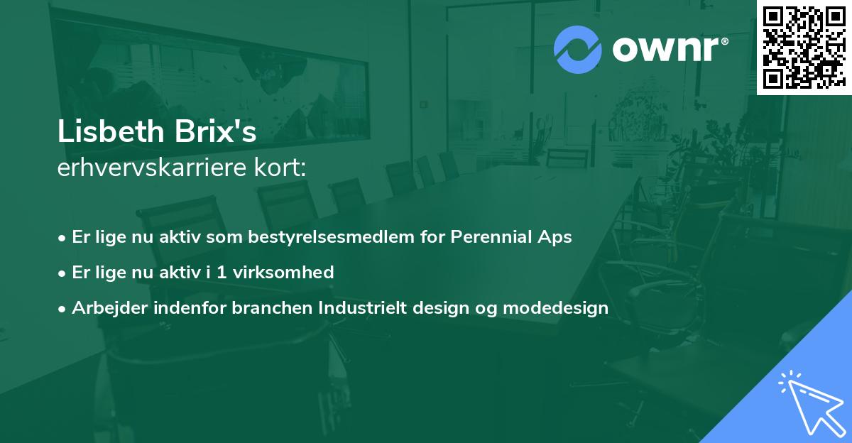 Lisbeth Brix's erhvervskarriere kort