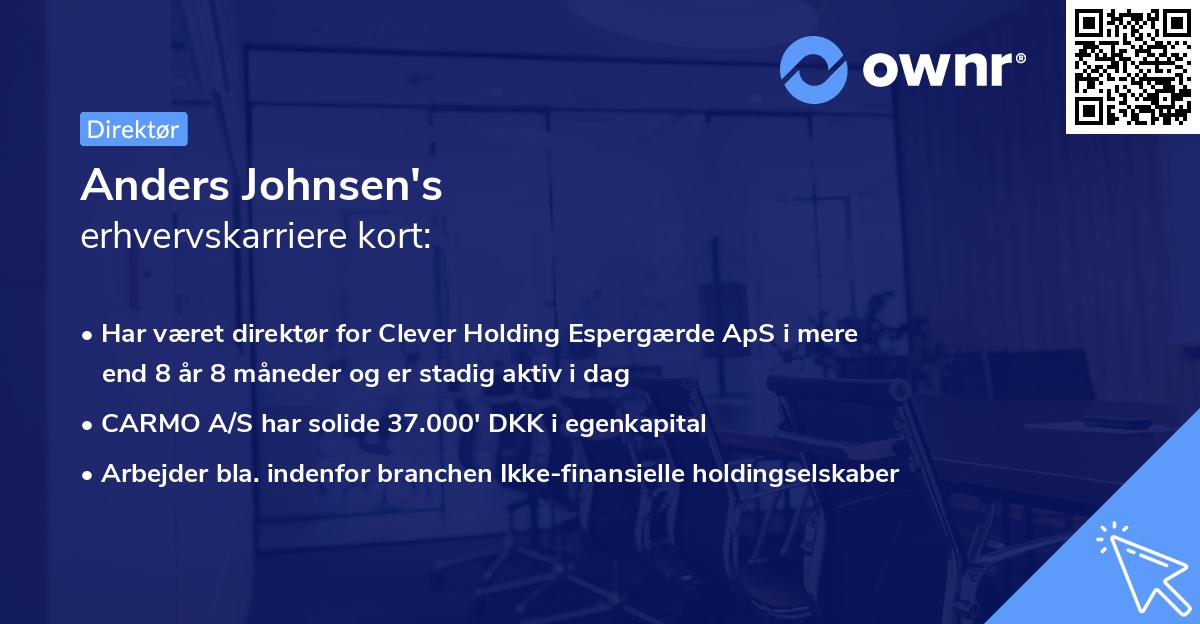 Anders Johnsen's erhvervskarriere kort
