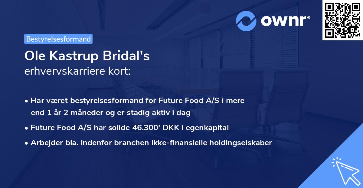 Ole Kastrup Bridal's erhvervskarriere kort
