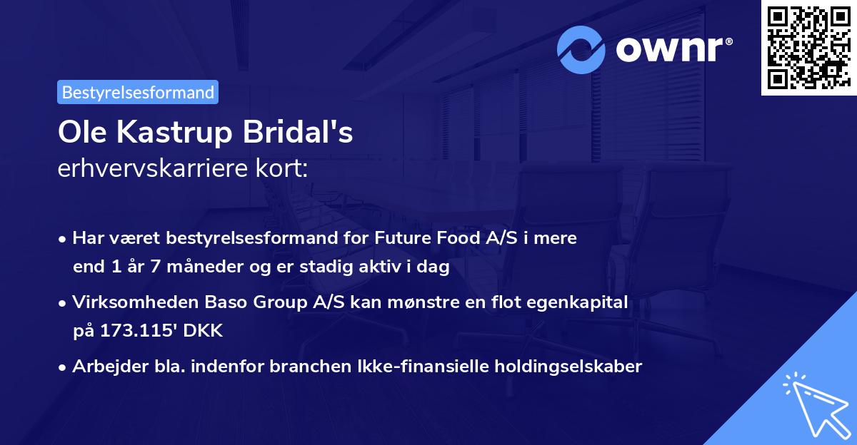 Ole Kastrup Bridal's erhvervskarriere kort