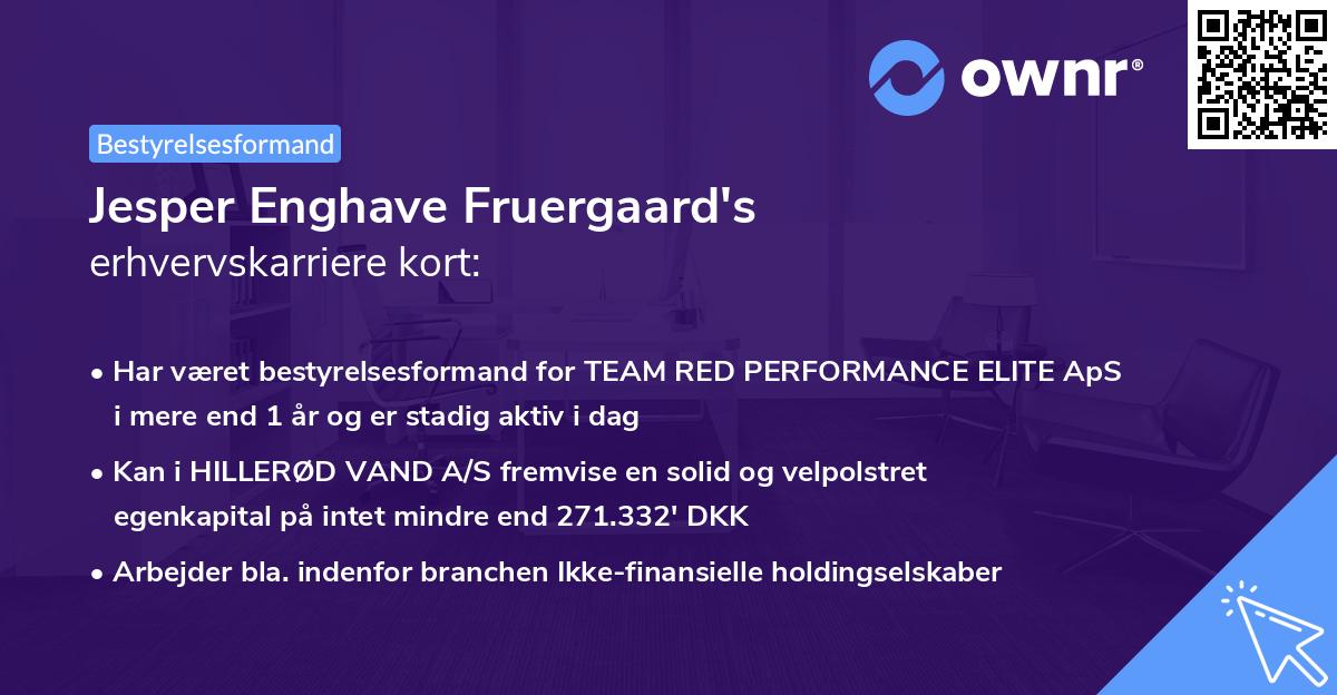 Jesper Enghave Fruergaard's erhvervskarriere kort