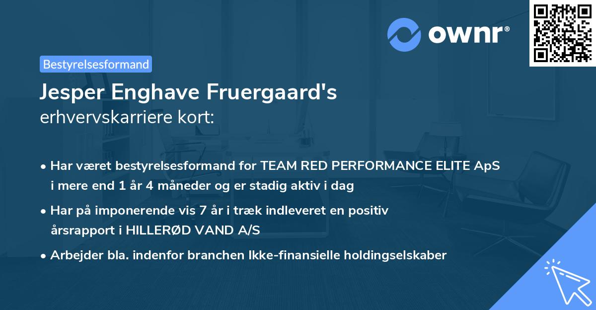Jesper Enghave Fruergaard's erhvervskarriere kort