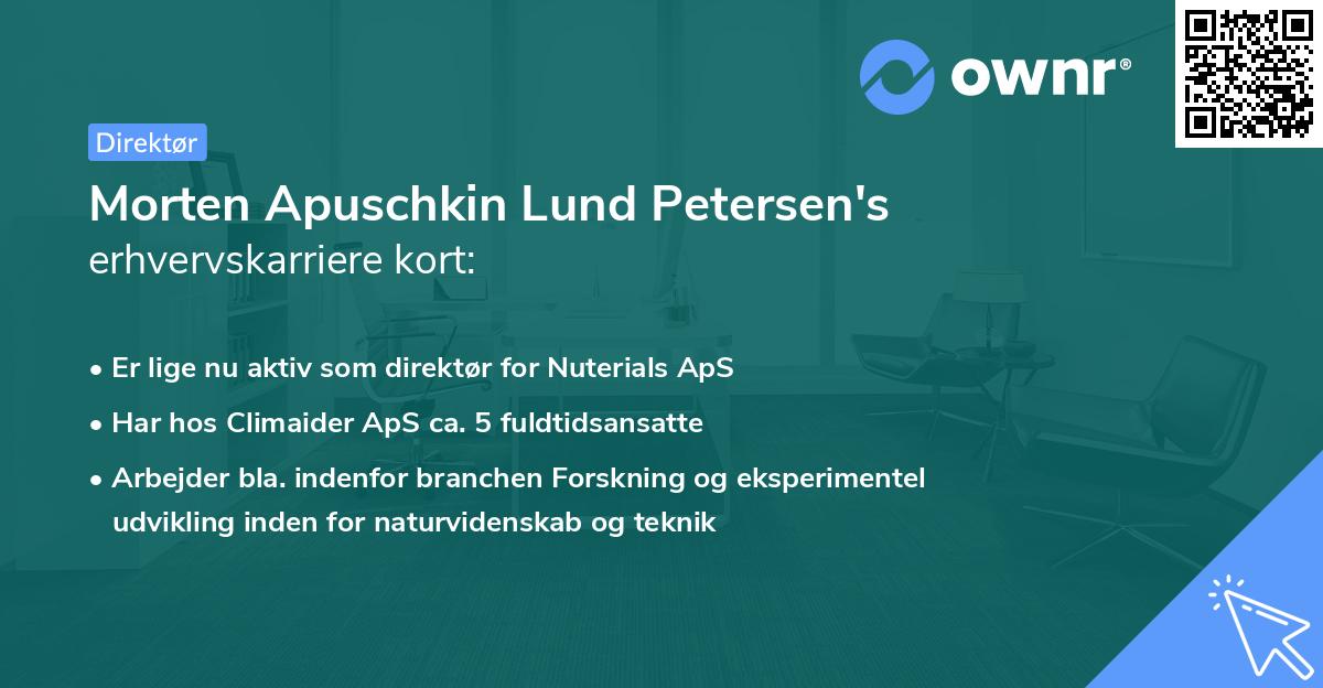 Morten Apuschkin Lund Petersen's erhvervskarriere kort
