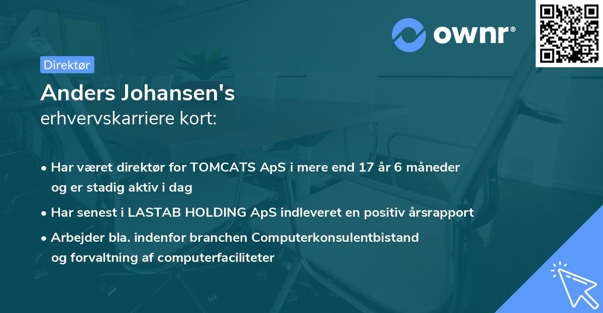 Anders Johansen's erhvervskarriere kort