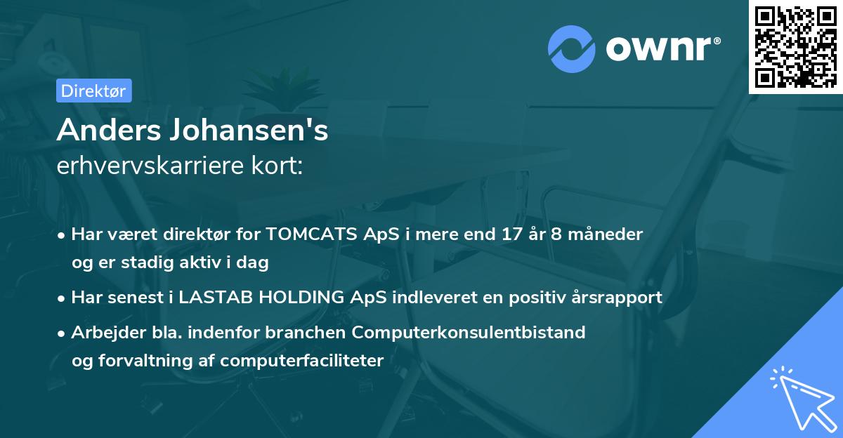 Anders Johansen's erhvervskarriere kort