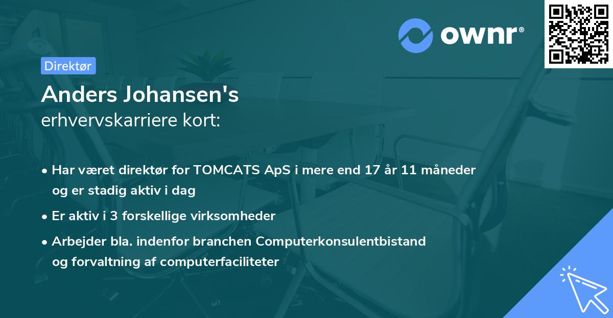 Anders Johansen's erhvervskarriere kort