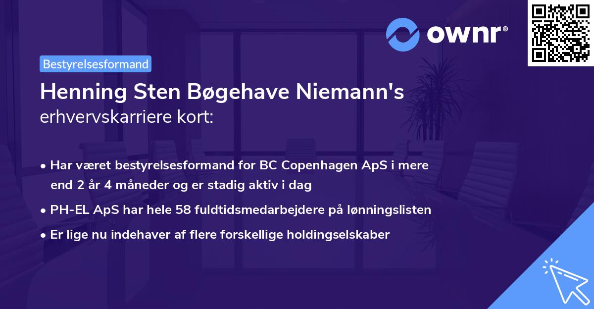 Henning Sten Bøgehave Niemann's erhvervskarriere kort