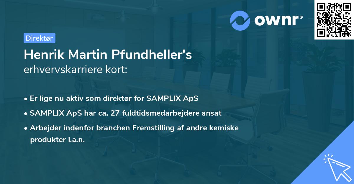 Henrik Martin Pfundheller's erhvervskarriere kort
