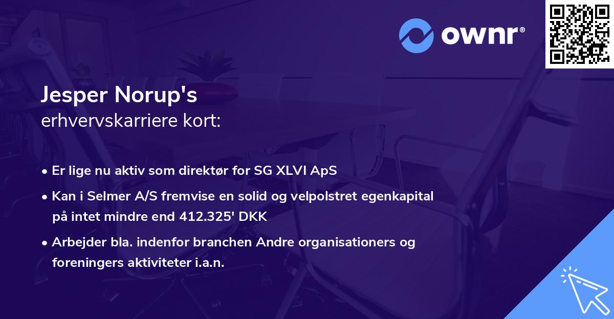 Jesper Norup's erhvervskarriere kort