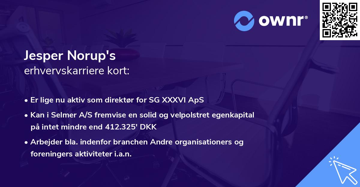 Jesper Norup's erhvervskarriere kort