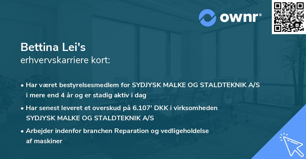 Bettina Lei's erhvervskarriere kort