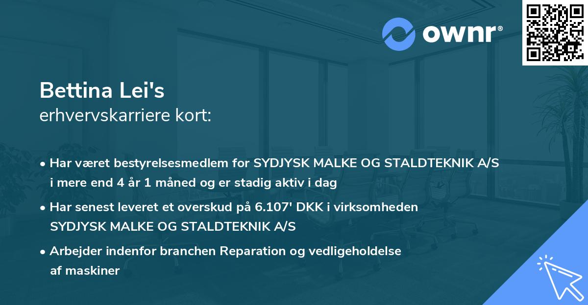 Bettina Lei's erhvervskarriere kort