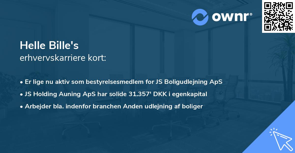 Helle Bille's erhvervskarriere kort