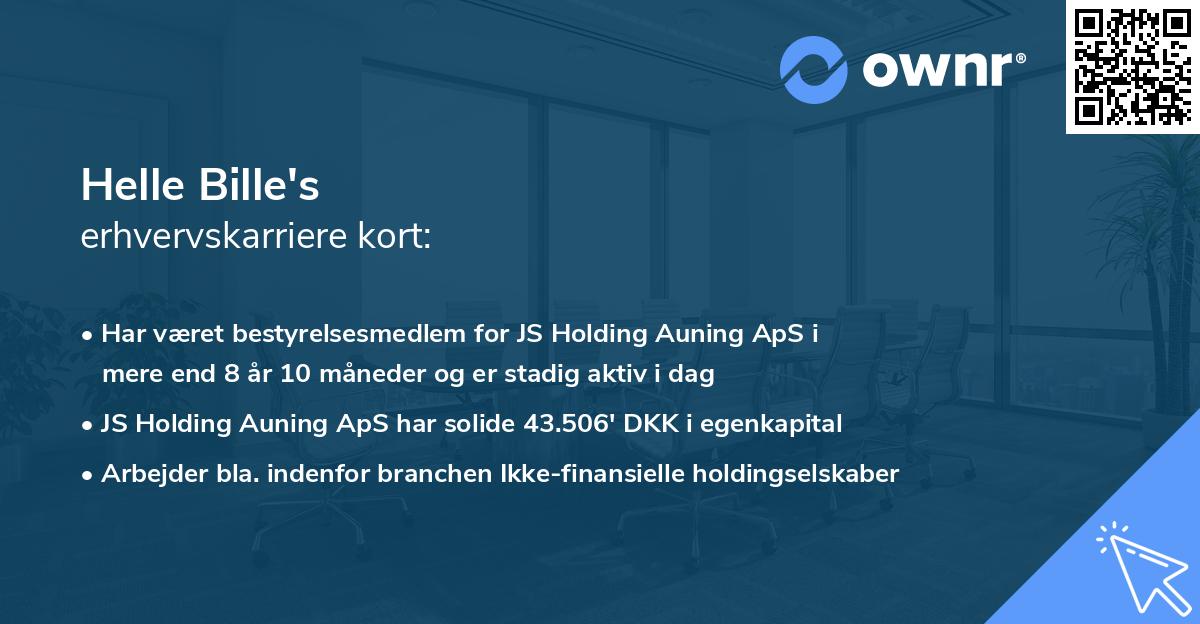 Helle Bille's erhvervskarriere kort