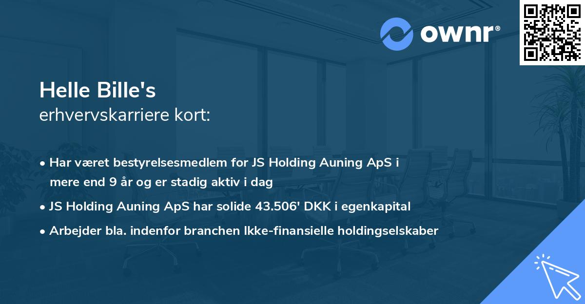 Helle Bille's erhvervskarriere kort