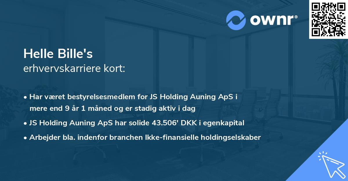 Helle Bille's erhvervskarriere kort