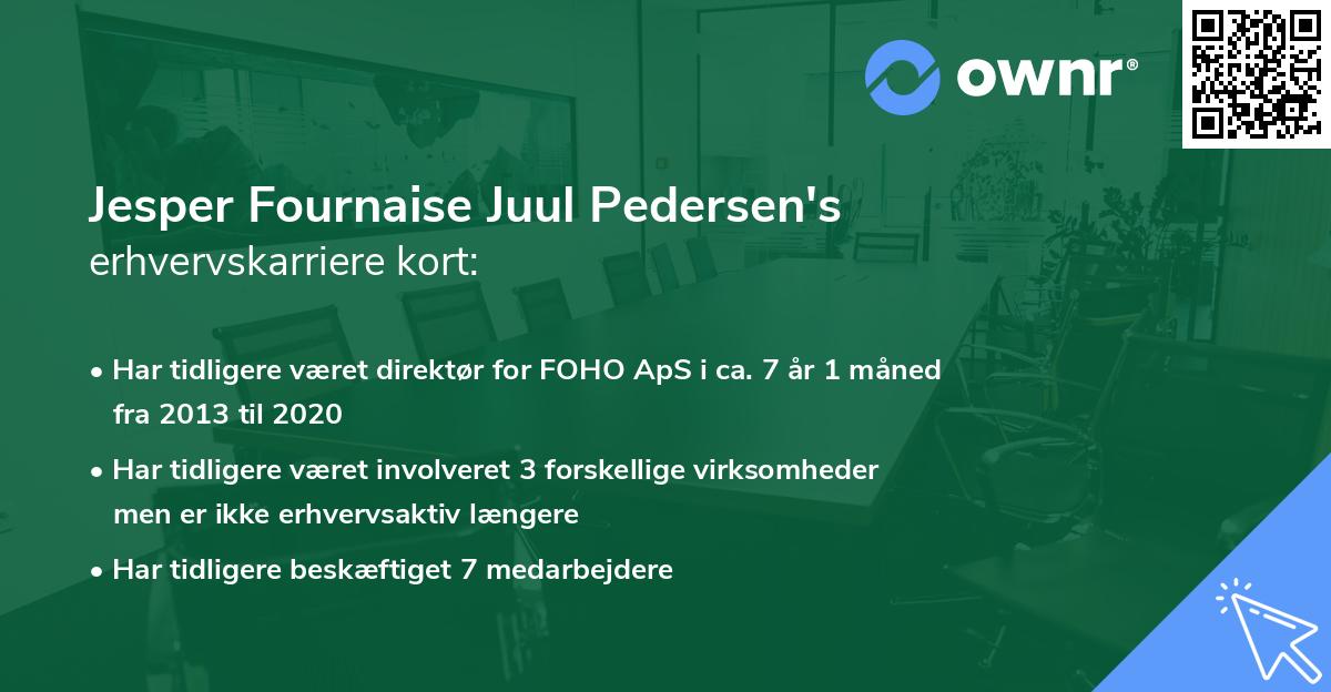 Jesper Fournaise Juul Pedersen's erhvervskarriere kort