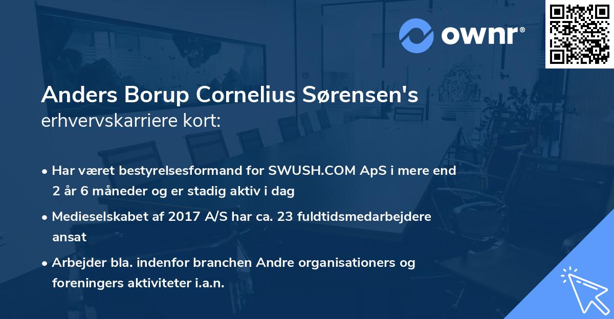 Anders Borup Cornelius Sørensen's erhvervskarriere kort