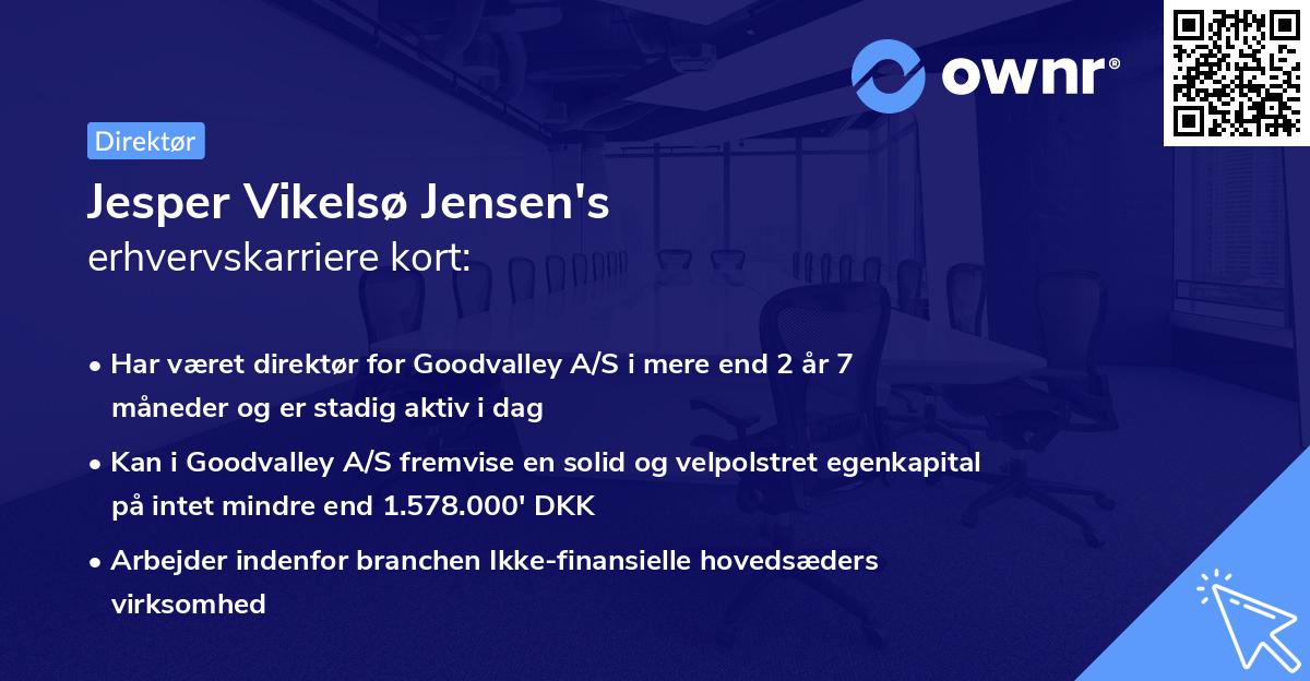 Jesper Vikelsø Jensen's erhvervskarriere kort