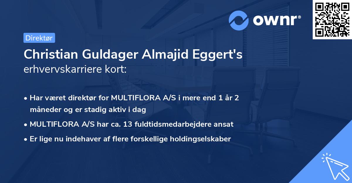 Christian Guldager Almajid Eggert's erhvervskarriere kort