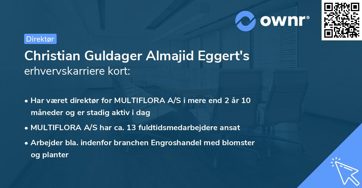 Christian Guldager Almajid Eggert's erhvervskarriere kort