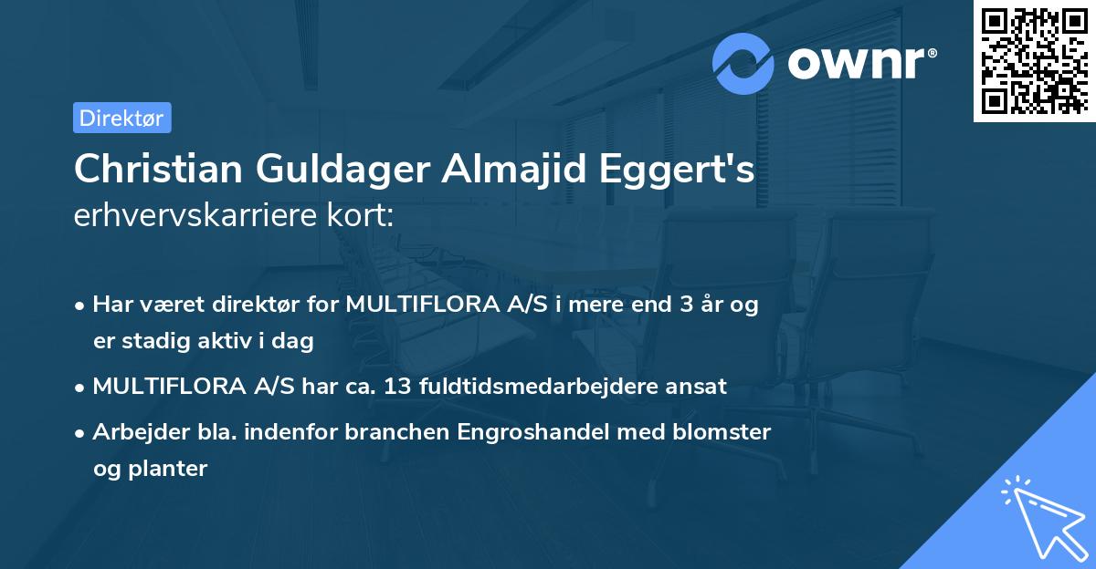 Christian Guldager Almajid Eggert's erhvervskarriere kort