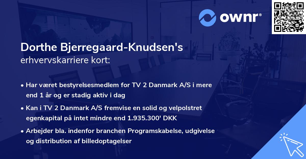Dorthe Bjerregaard-Knudsen's erhvervskarriere kort