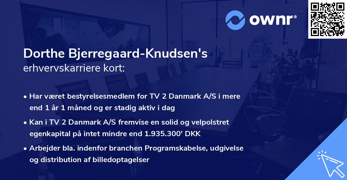 Dorthe Bjerregaard-Knudsen's erhvervskarriere kort