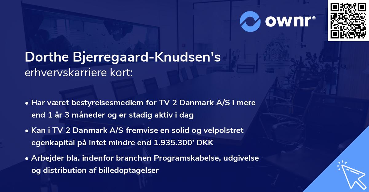Dorthe Bjerregaard-Knudsen's erhvervskarriere kort