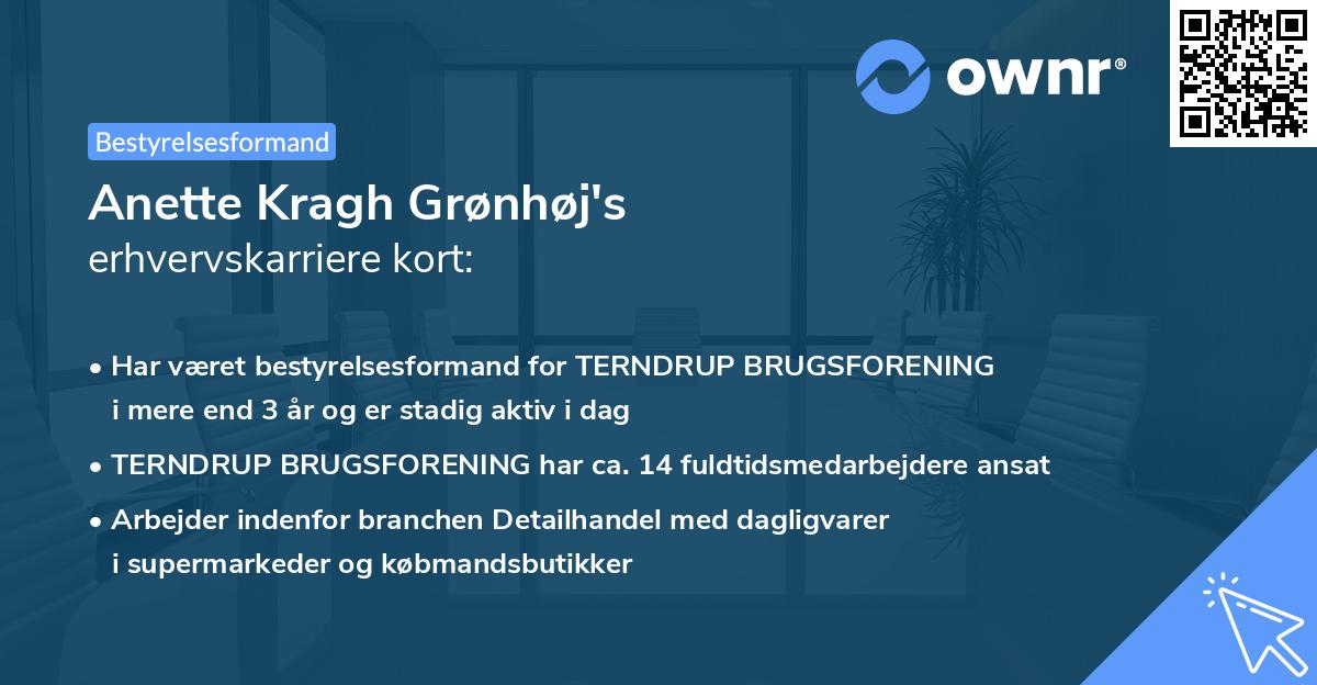 Anette Kragh Grønhøj's erhvervskarriere kort